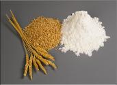 Is Gluten Your Friend Or Foe - Find Out For Yourself 