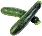 How To Grow Zucchini