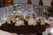 Among Gateau With Chocolate Icing