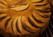 Apple Sponge