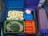 Apple Tea Cooler