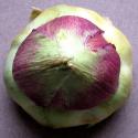 Artichoke Hearts Italiano