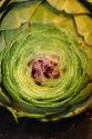 Artichokes With Hollandaise Sauce