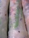 Asparagus Roll-ups