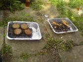 Barbecued Hamburgers