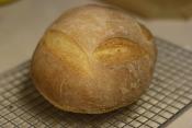 Basic Brown Bread