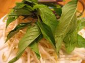 Basil And Bean Soup