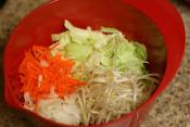 Bean Sprouts & Carrot