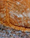Beer Bread