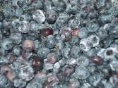 Berry Jam Or Jelly
