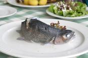 Blue Trout Luchow
