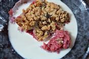 Busy Day Blueberry Crisp