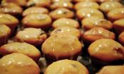 Blueberry Lemon Muffins