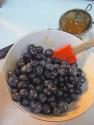 Blueberry Squares