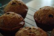Noel Bran Muffins
