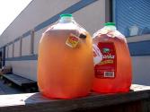 Brewed Tea