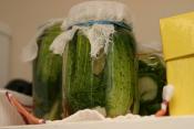 Brined Pickles