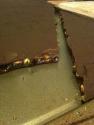 Almond Brittle Topping