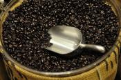 Brown Beans