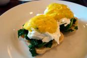 Brunch Eggs Florentine