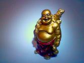 Buddhist Delight