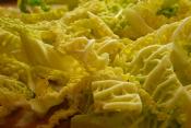 Ham And Mushroom Stuffing For Cabbage Leaves