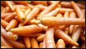Carrot Bars