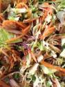 Carrot Sprout Slaw