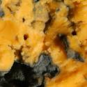 Creamy Tuna Cheese Mould