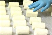 Tivoli Cheese Mold