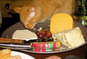 Cheese Pate