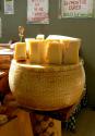 Golden Cheese Wheel