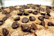 Chocolate Chip Cake