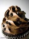Chocolate Chip Cupcakes
