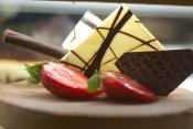 Chocolate Fruit Squares