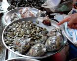 Stir Fried Clams N Shells