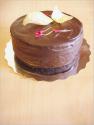 Quick Cocoa Cake