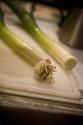 Cold Vichyssoise