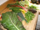 Fresh Turnip Mustard Or Collard Greens