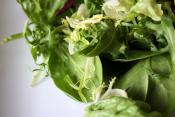 Colorful Vegetable Salad
