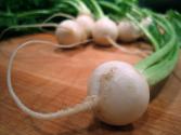 Turnips Cooked In Stock