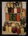 Crab Apple Pickles