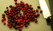 Holiday Cranberry Nut Bread