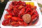 Crawfish Boil
