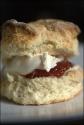 Cream Scones