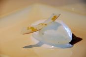 Crunchy Ice Cream