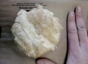 Danish Blue Cheese Balls