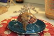 Date Cupcakes
