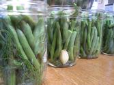 Dilly Beans