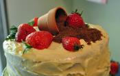 Dirt Dessert
